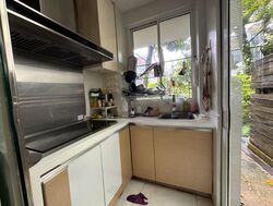 The Greenwood (D11), Terrace #503686341